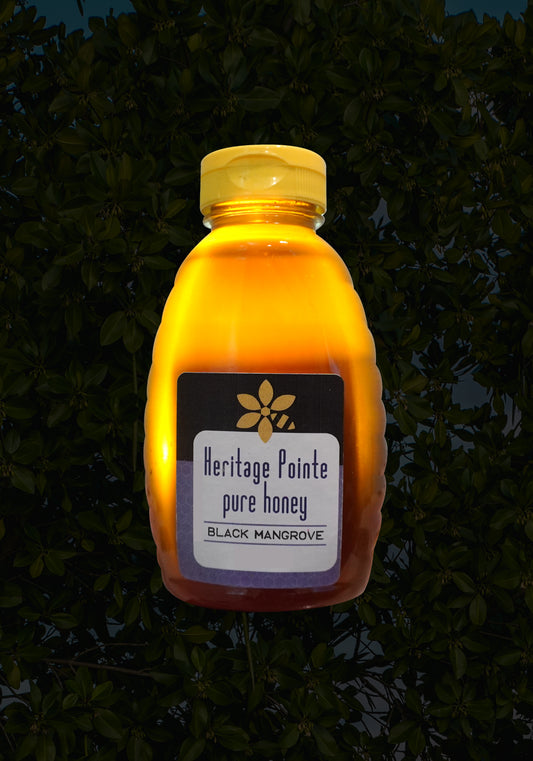 Black Mangrove (Currently Unavailable)