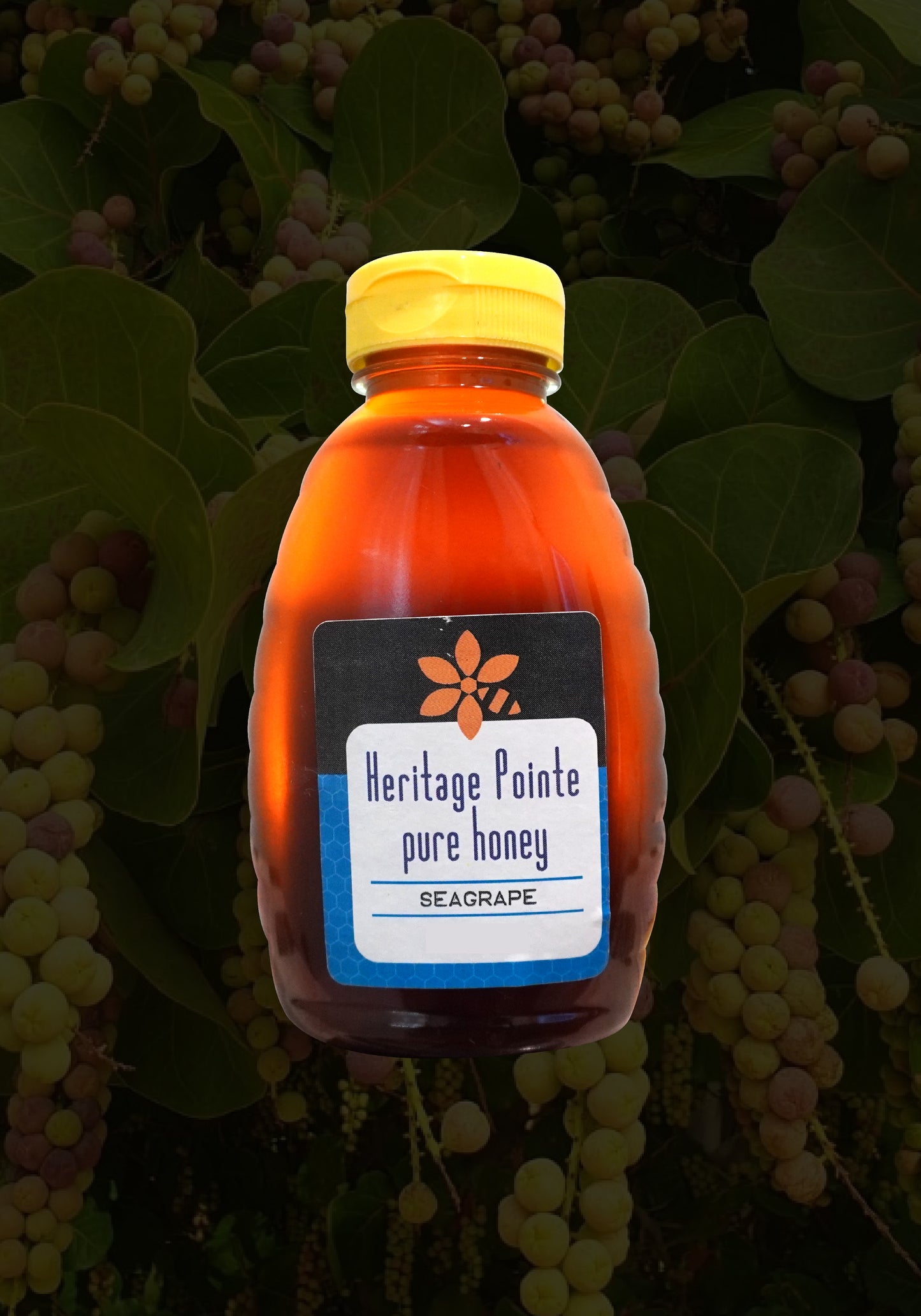 Seagrape (Currently Unavailable)